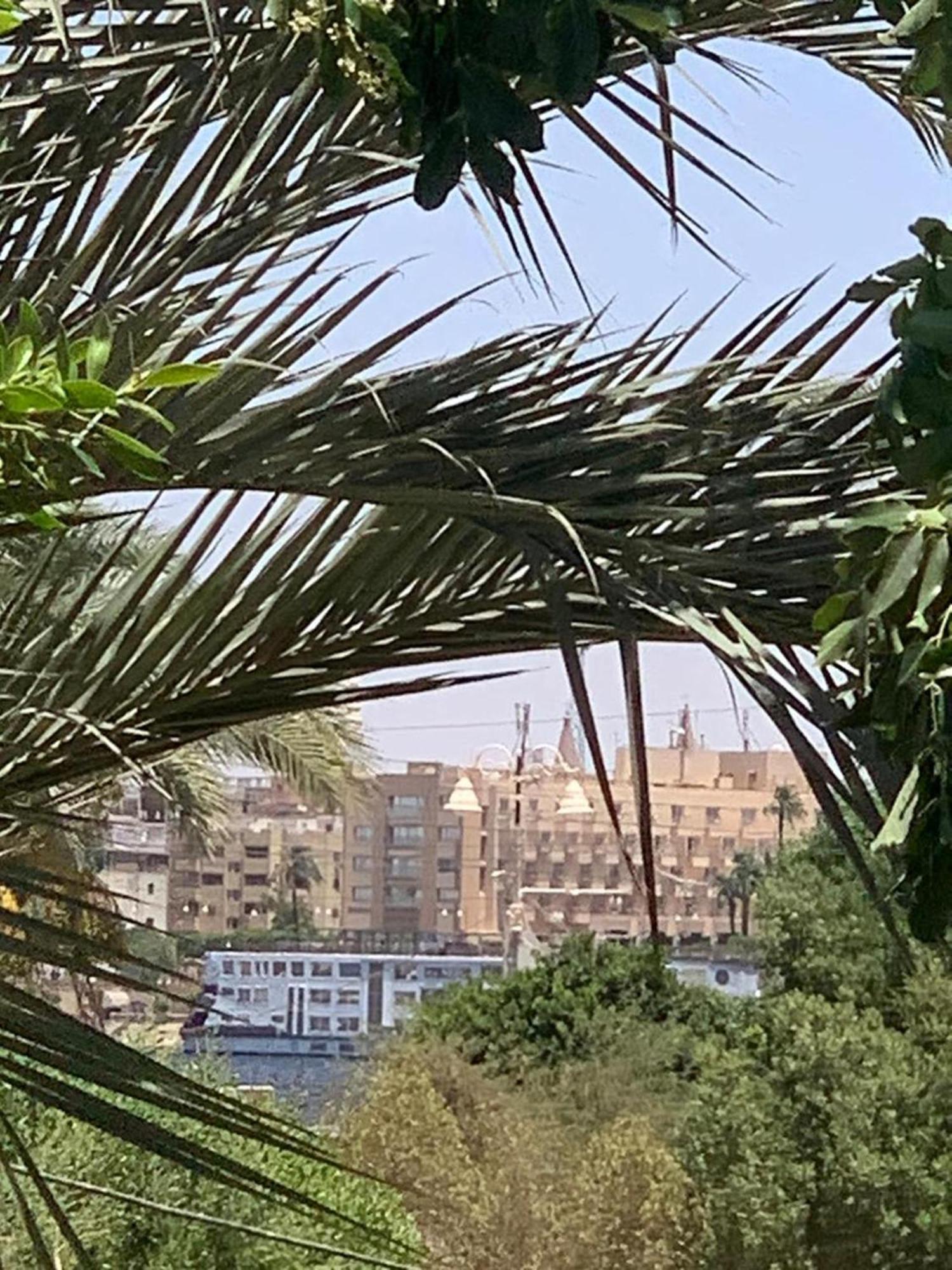 לוקסור Villa Elhag Nile View מראה חיצוני תמונה